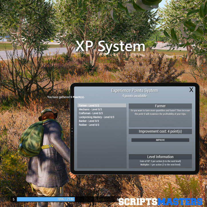 XP System