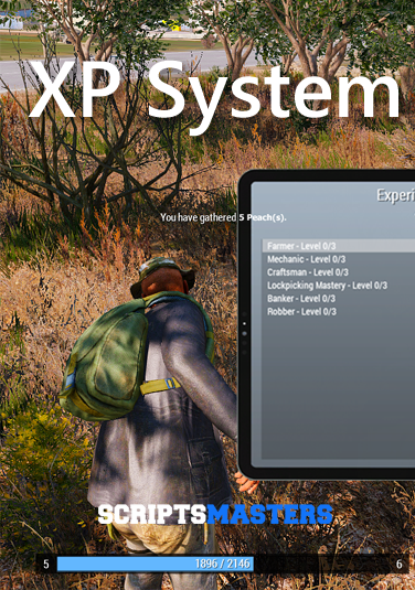 XP System