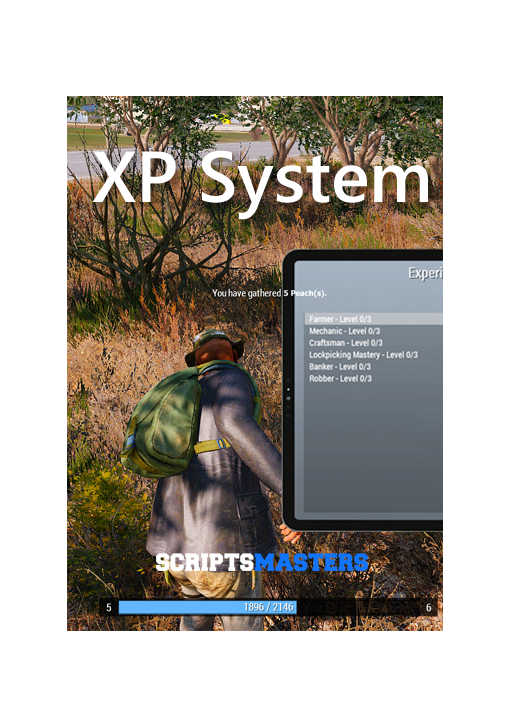 XP System